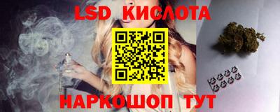 шишки Краснознаменск